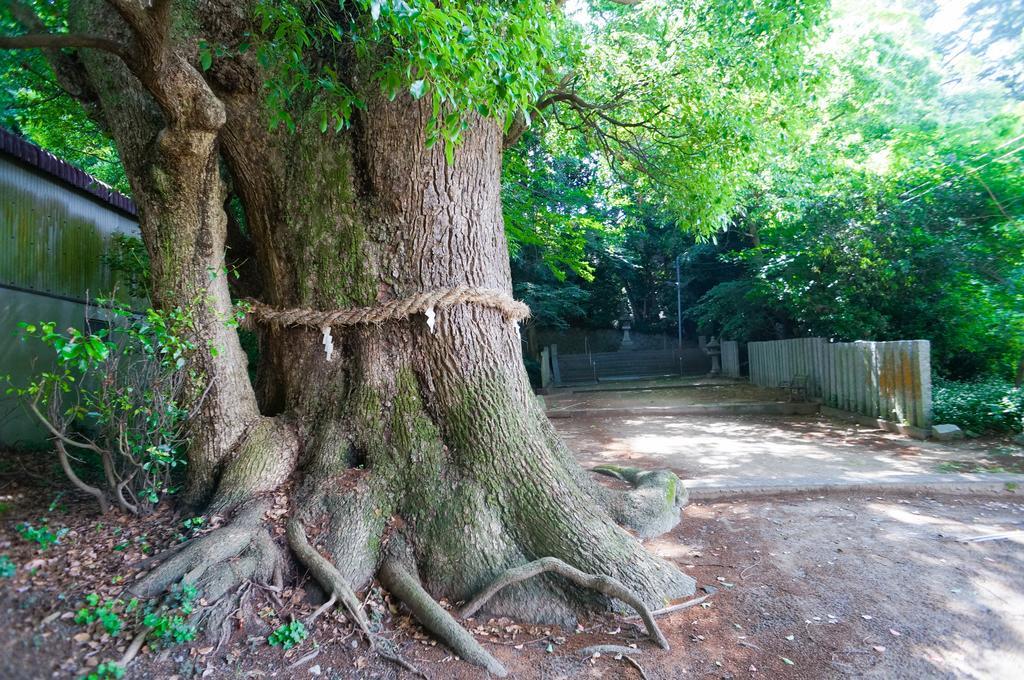 なにもない幸せな島のリトリート宿 The Bonds Matsuyama  Exteriör bild